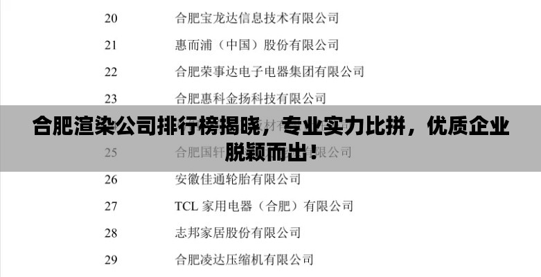 合肥渲染公司排行榜揭曉，專業(yè)實力比拼，優(yōu)質(zhì)企業(yè)脫穎而出！