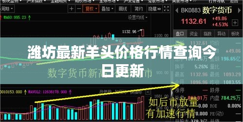 濰坊最新羊頭價格行情查詢今日更新