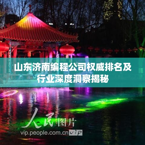 山東濟(jì)南編程公司權(quán)威排名及行業(yè)深度洞察揭秘