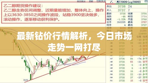 最新鉆價(jià)行情解析，今日市場(chǎng)走勢(shì)一網(wǎng)打盡