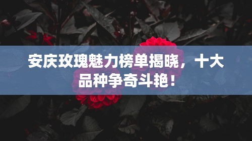 權(quán)貴顯要 第2頁