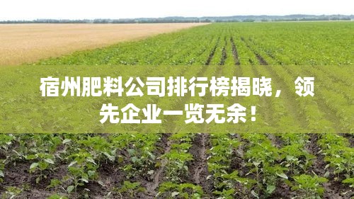 宿州肥料公司排行榜揭曉，領(lǐng)先企業(yè)一覽無余！