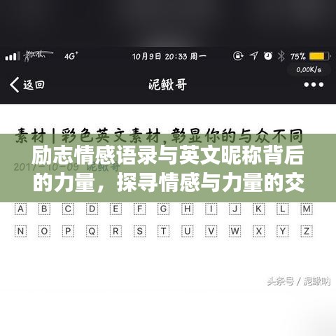 勵志情感語錄與英文昵稱背后的力量，探尋情感與力量的交織