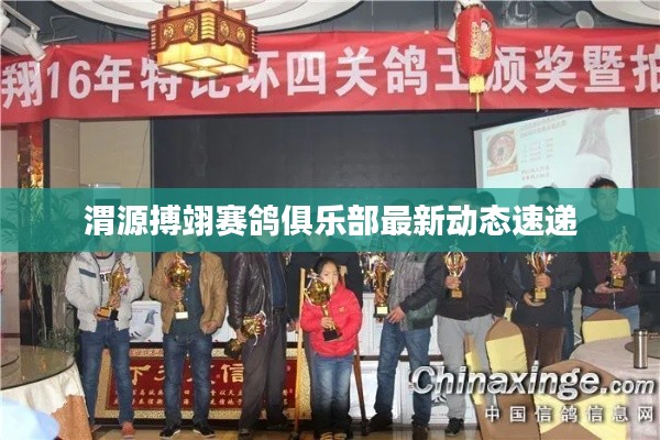 渭源搏翊賽鴿俱樂部最新動態(tài)速遞