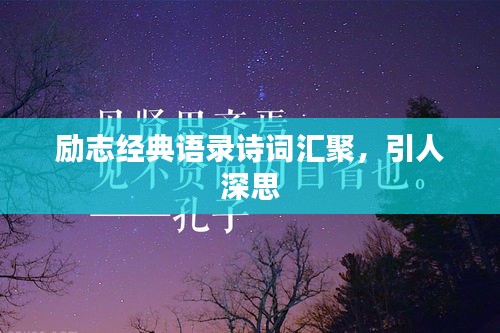 勵志經(jīng)典語錄詩詞匯聚，引人深思