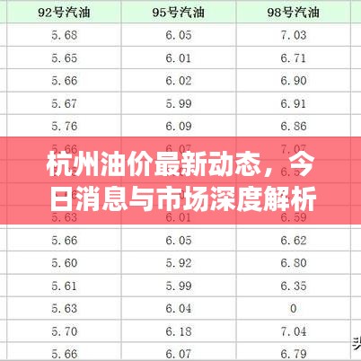 杭州油價(jià)最新動(dòng)態(tài)，今日消息與市場深度解析