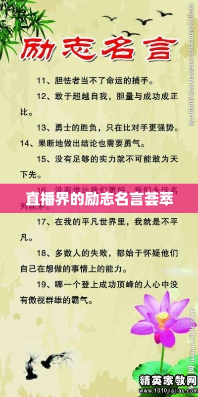 直播界的勵志名言薈萃