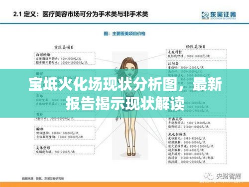 寶坻火化場現(xiàn)狀分析圖，最新報告揭示現(xiàn)狀解讀