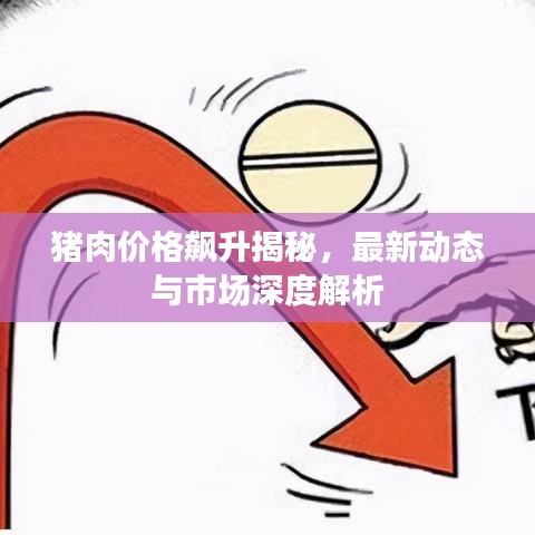 豬肉價格飆升揭秘，最新動態(tài)與市場深度解析