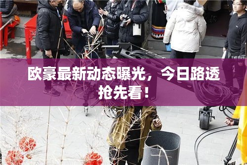 歐豪最新動(dòng)態(tài)曝光，今日路透搶先看！