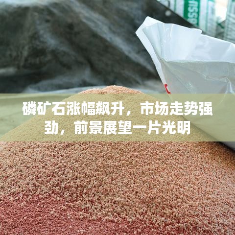 磷礦石漲幅飆升，市場(chǎng)走勢(shì)強(qiáng)勁，前景展望一片光明
