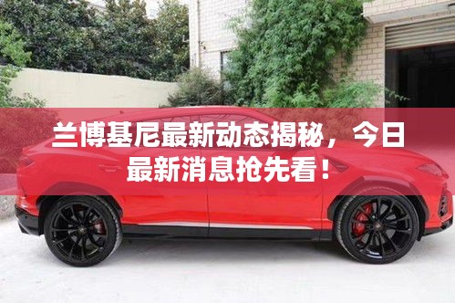 蘭博基尼最新動(dòng)態(tài)揭秘，今日最新消息搶先看！
