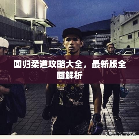 回歸柔道攻略大全，最新版全面解析