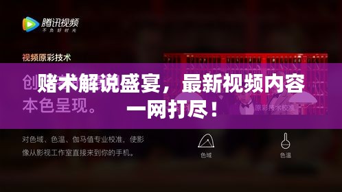 賭術(shù)解說盛宴，最新視頻內(nèi)容一網(wǎng)打盡！
