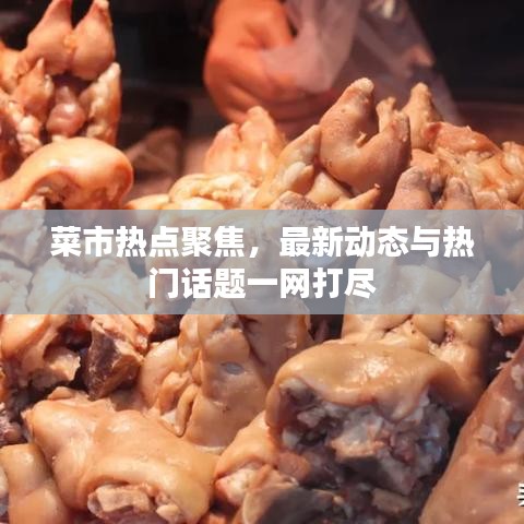 菜市熱點聚焦，最新動態(tài)與熱門話題一網(wǎng)打盡