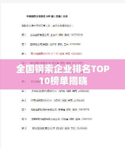 全國鋼索企業(yè)排名TOP10榜單揭曉
