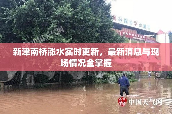 新津南橋漲水實時更新，最新消息與現(xiàn)場情況全掌握