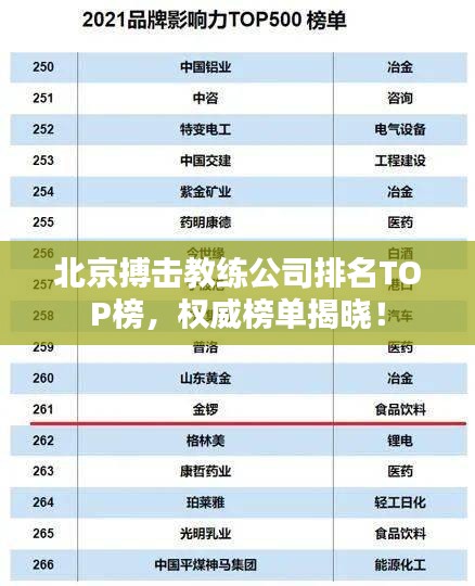 北京搏擊教練公司排名TOP榜，權(quán)威榜單揭曉！