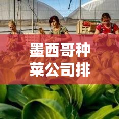 就地取材 第2頁