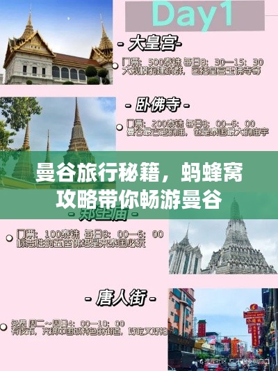 笨鳥先飛 第2頁