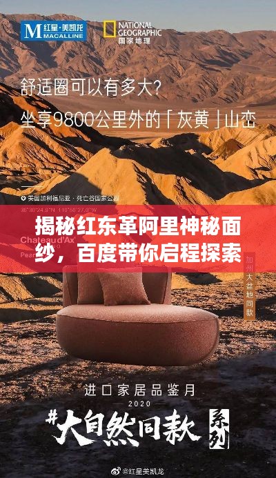 揭秘紅東革阿里神秘面紗，百度帶你啟程探索之旅
