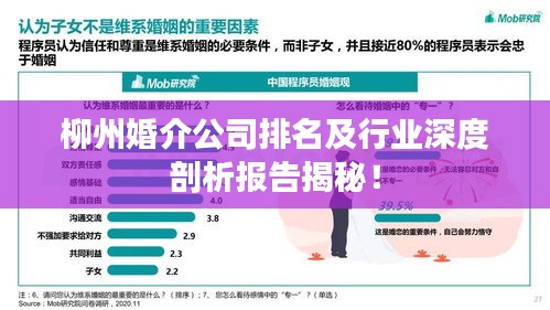 柳州婚介公司排名及行業(yè)深度剖析報(bào)告揭秘！