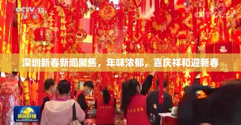 深圳新春新聞聚焦，年味濃郁，喜慶祥和迎新春