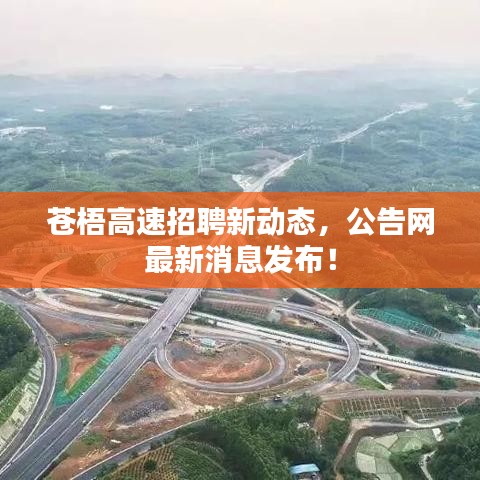 蒼梧高速招聘新動態(tài)，公告網(wǎng)最新消息發(fā)布！