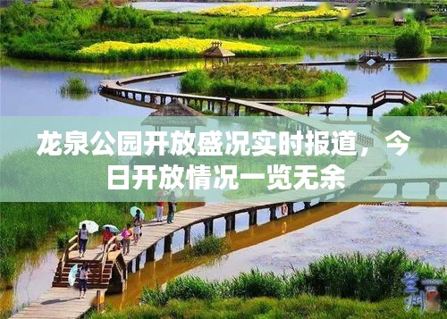 龍泉公園開放盛況實時報道，今日開放情況一覽無余