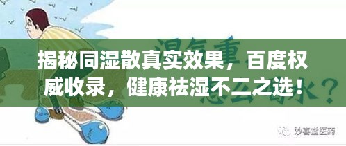 揭秘同濕散真實效果，百度權威收錄，健康祛濕不二之選！