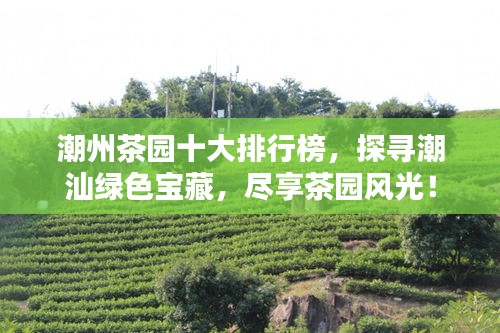 潮州茶園十大排行榜，探尋潮汕綠色寶藏，盡享茶園風(fēng)光！