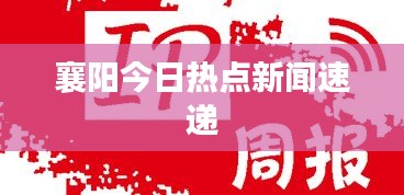 襄陽今日熱點新聞速遞