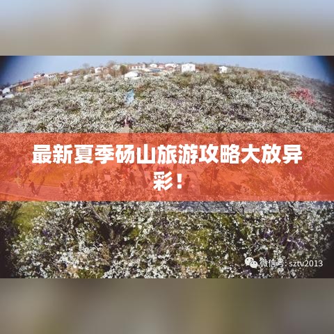 最新夏季碭山旅游攻略大放異彩！