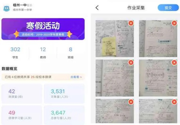 作業(yè)輔導(dǎo)下載官方,實地驗證數(shù)據(jù)應(yīng)用|VR_v8.864