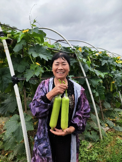 2025年10月12日 第37頁
