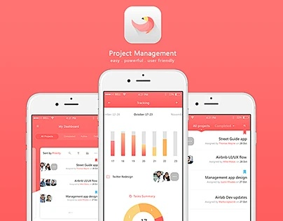 胖胖生活 官方下載,全面計(jì)劃執(zhí)行&amp;PalmOS_v3.933