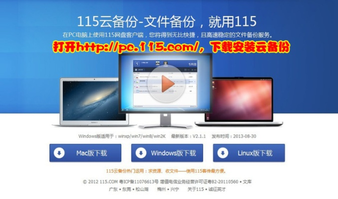 老版本115網(wǎng)盤,定制化執(zhí)行方案分析_AP1_v2.762