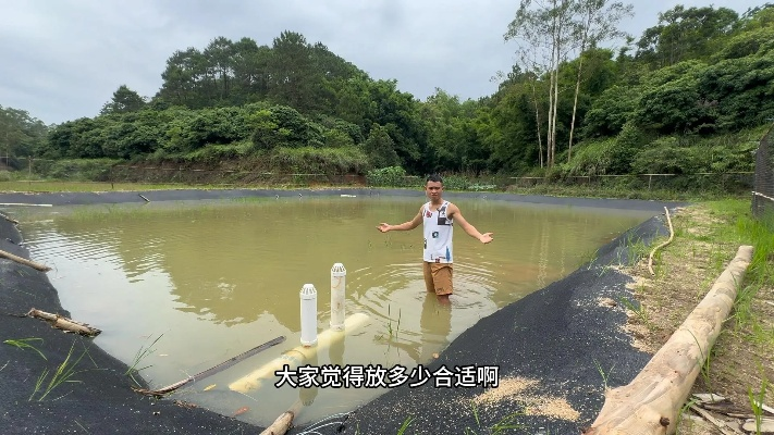 魚塘官方下載,整體規(guī)劃執(zhí)行講解_N版_v6.434