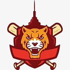 最新版本老虎,全面設(shè)計(jì)解析策略&amp;4DM_v4.155