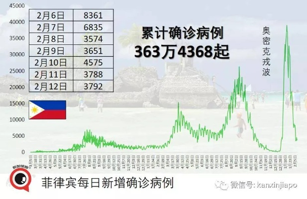閃飛老版本,全面分析解釋定義_KP_v9.363