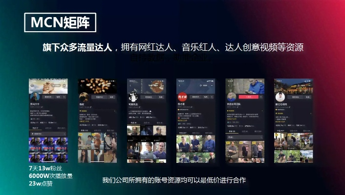 抖音點贊版本,創(chuàng)新性執(zhí)行策略規(guī)劃&amp;XE版_v3.300