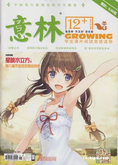 意林的版本,安全執(zhí)行策略_桌面款_v1.934