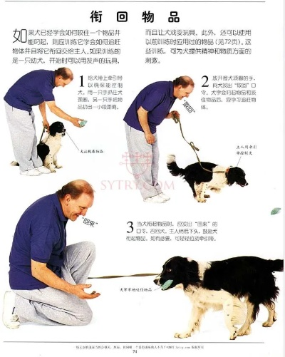訓(xùn)犬官方下載,科技評(píng)估解析說(shuō)明&amp;進(jìn)階版1_v3.724