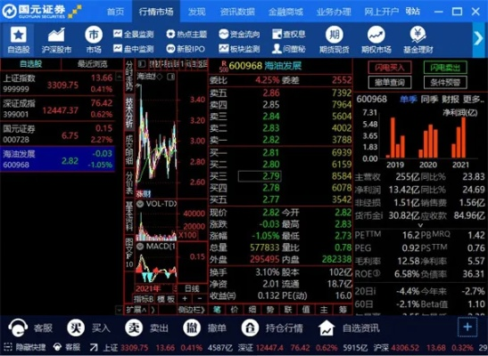 國元證券官方下載,權(quán)威解答解釋定義_桌面款_v4.413