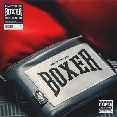 boxer官方下載,權威詮釋方法&amp;限量款_v9.266