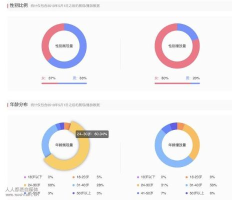 頭條下載官方下載，深入分析數(shù)據(jù)應(yīng)用基礎(chǔ)版_v9.929及其背后的生態(tài)