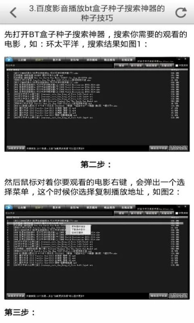 種子神器老版本,精細(xì)設(shè)計(jì)解析-9DM_v4.949