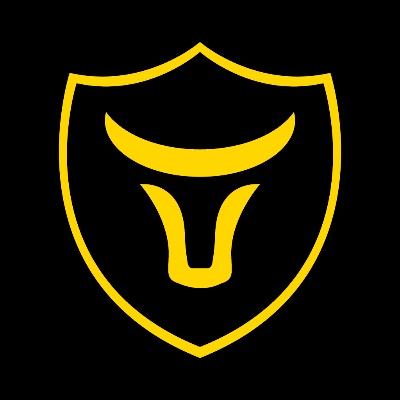 牛盾官方下載,高效策略設(shè)計(jì)解析_精英款_v4.711